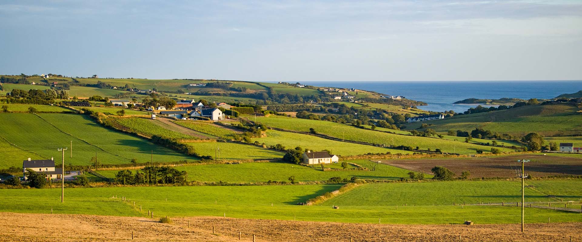 Farm House View