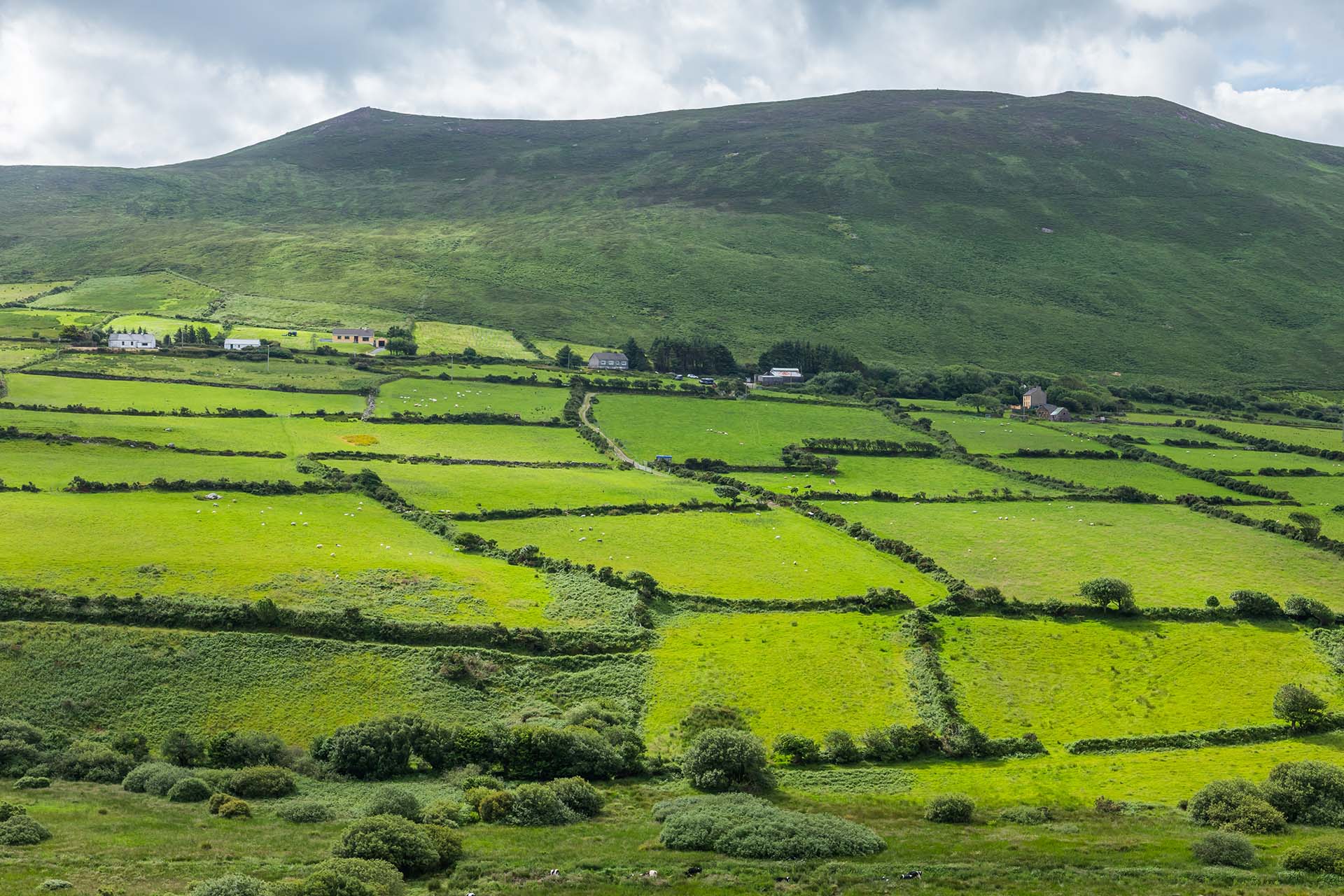 Irish Rural Scenery